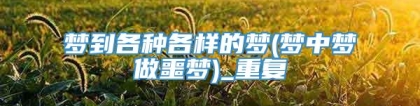 梦到各种各样的梦(梦中梦做噩梦)_重复