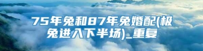 75年兔和87年兔婚配(极兔进入下半场)_重复