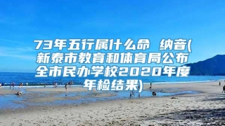 73年五行属什么命 纳音(新泰市教育和体育局公布全市民办学校2020年度年检结果)