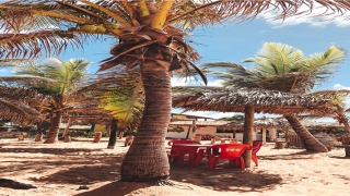 黑痣是善痣吗(痣是黑色的吗)