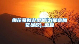 梅花易数卦象解读(邵雍梅花易数)_重复