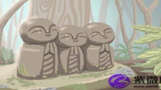 白蜡金命和什么命相生(白蜡金是命薄吗)