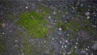 cad命令chspace怎么用(工程师熬夜3年写下这50条)