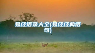 易经语录大全(易经经典语句)