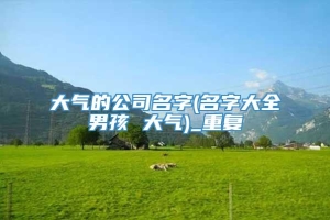 大气的公司名字(名字大全男孩 大气)_重复