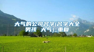 大气的公司名字(名字大全男孩 大气)_重复