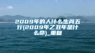 2009年的人什么生肖五行(2009年乙丑年是什么命)_重复