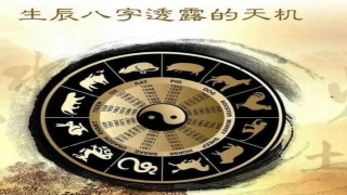 八字测职业分析(八字命理看你事业的发展方向)