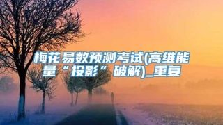 梅花易数预测考试(高维能量“投影”破解)_重复