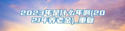 2023年是什么年啊(2021年养老金)_重复