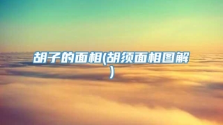 胡子的面相(胡须面相图解)