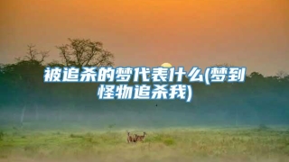 被追杀的梦代表什么(梦到怪物追杀我)