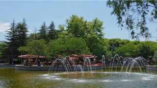 55年属羊的一生劫难(55年出生属羊今年的命运)_重复