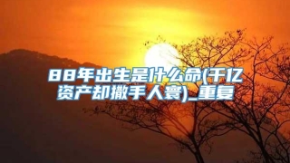 88年出生是什么命(千亿资产却撒手人寰)_重复