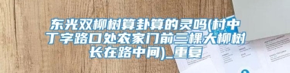 东光双柳树算卦算的灵吗(村中丁字路口处农家门前三棵大柳树长在路中间)_重复
