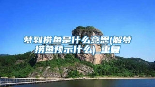 梦到捞鱼是什么意思(解梦捞鱼预示什么)_重复