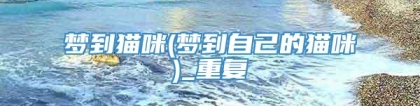 梦到猫咪(梦到自己的猫咪)_重复