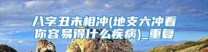 八字丑未相冲(地支六冲看你容易得什么疾病)_重复