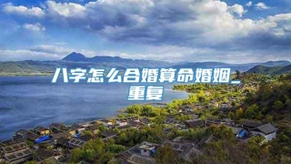 八字怎么合婚算命婚姻_重复