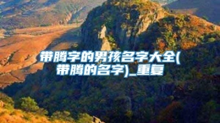 带腾字的男孩名字大全(带腾的名字)_重复