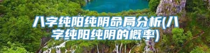 八字纯阳纯阴命局分析(八字纯阳纯阴的概率)