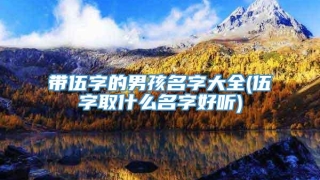 带伍字的男孩名字大全(伍字取什么名字好听)