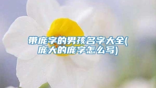 带庞字的男孩名字大全(庞大的庞字怎么写)