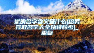 斌的名字含义是什么(给男孩取名字大全独特稀少)_重复