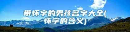 带怀字的男孩名字大全(怀字的含义)