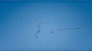 2021年最红抖音名字(2021抖音网红排名)_重复