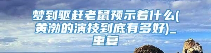 梦到驱赶老鼠预示着什么(黄渤的演技到底有多好)_重复