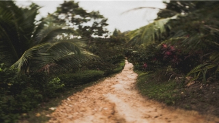 2022年有大灾难的生肖(2022年生肖运势)_重复