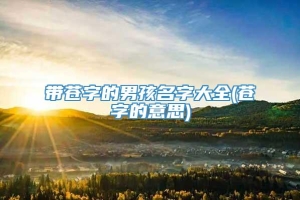 带苍字的男孩名字大全(苍字的意思)