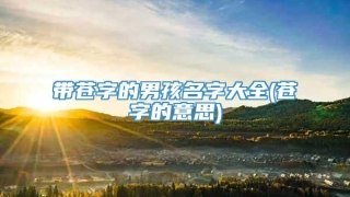 带苍字的男孩名字大全(苍字的意思)