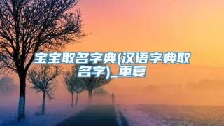 宝宝取名字典(汉语字典取名字)_重复