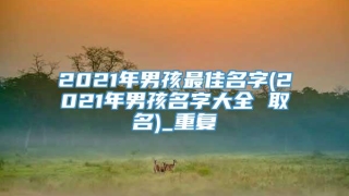 2021年男孩最佳名字(2021年男孩名字大全 取名)_重复