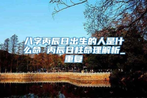 八字丙辰日出生的人是什么命 丙辰日柱命理解析_重复