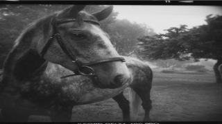 8月15日出生的人很可怕(一批暴恐案现场画面首次曝光)