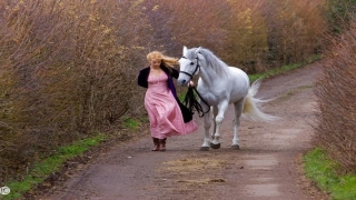 66年属马人求财方位(属马的人2018年财运特别的兴盛)_重复