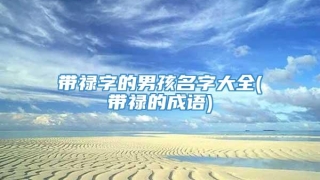 带禄字的男孩名字大全(带禄的成语)