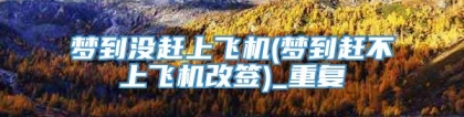 梦到没赶上飞机(梦到赶不上飞机改签)_重复