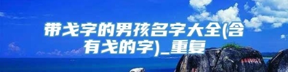 带戈字的男孩名字大全(含有戈的字)_重复