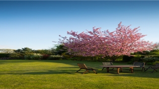 59岁属什么生肖属相(59岁是什么生肖)_重复