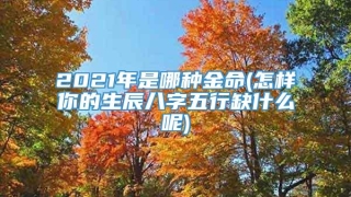 2021年是哪种金命(怎样你的生辰八字五行缺什么呢)