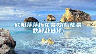 欧阳萍萍梅花易数(梅花易数解卦选择)