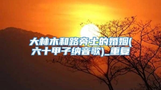 大林木和路旁土的婚姻(六十甲子纳音歌)_重复