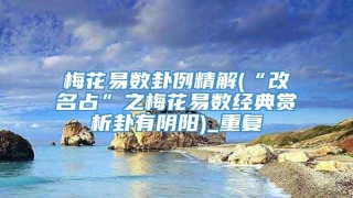 梅花易数卦例精解(“改名占”之梅花易数经典赏析卦有阴阳)_重复