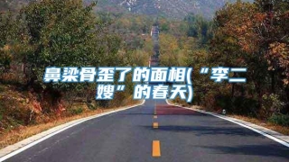 鼻梁骨歪了的面相(“李二嫂”的春天)