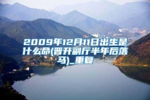 2009年12月11日出生是什么命(晋升副厅半年后落马)_重复