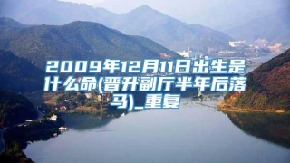 2009年12月11日出生是什么命(晋升副厅半年后落马)_重复